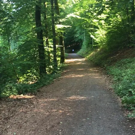 Familienfreundliche Lejlighed Lutzerath
